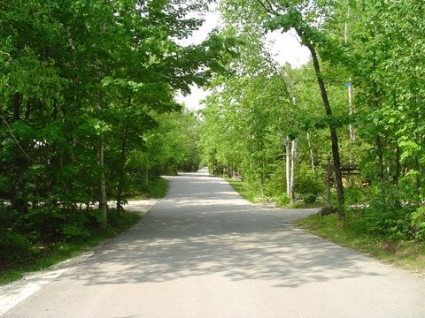The tree-lined main road winding through the campground